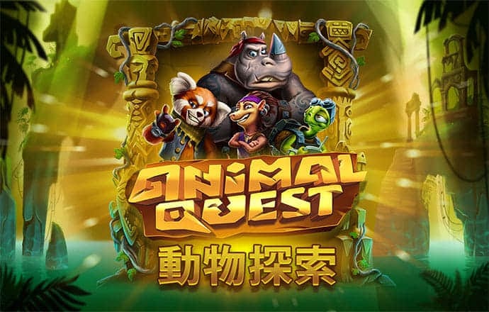 bibo必博体育网